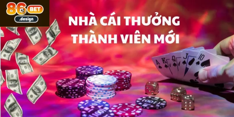 Các lưu ý quan trọng khi truy cập vào 86bet